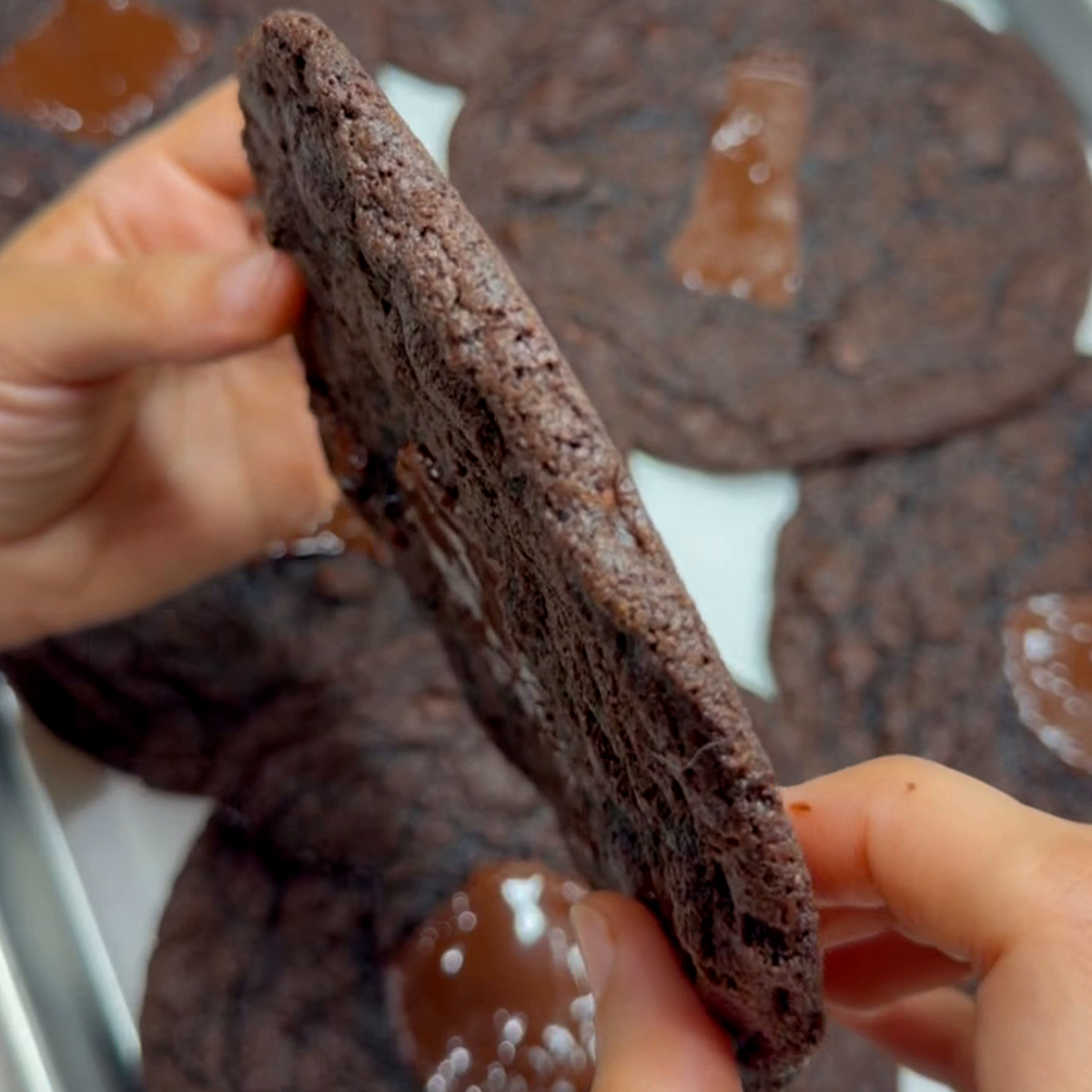 Fudge Brownie brown butter cookie